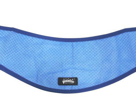 PAWISE Cooling Bandana S, 4112cm Cheap