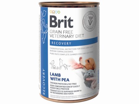 BRIT GF VD Dog + Cat Recovery, za oporavak, konzerva 400g on Sale